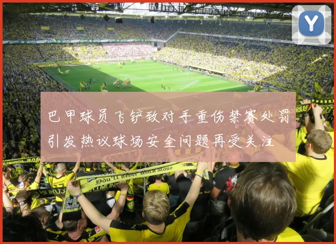 巴甲球员飞铲致对手重伤禁赛处罚引发热议球场安全问题再受关注