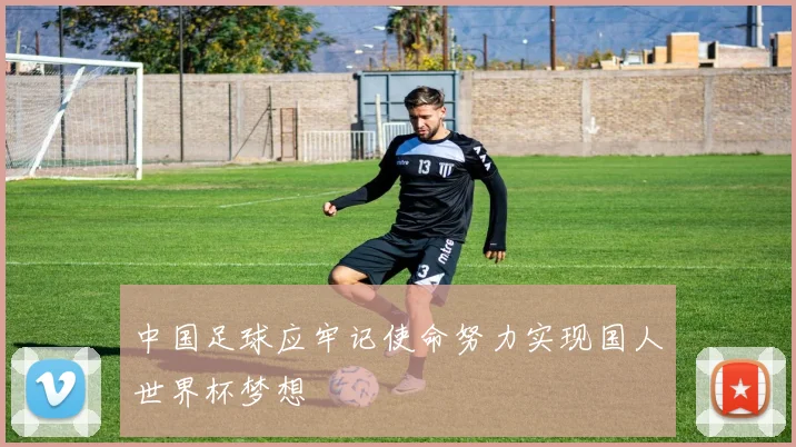 中国足球应牢记使命努力实现国人世界杯梦想