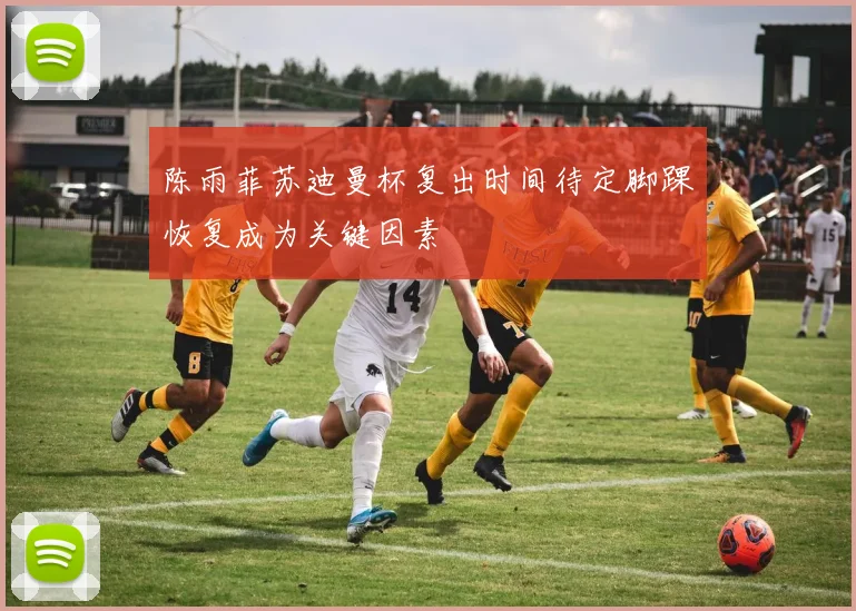 陈雨菲苏迪曼杯复出时间待定脚踝恢复成为关键因素