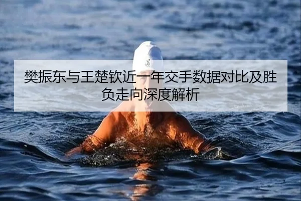 樊振东与王楚钦近一年交手数据对比及胜负走向深度解析 - MiLanSports