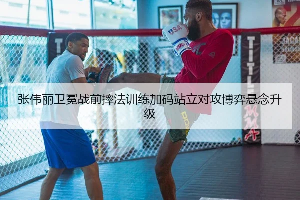 张伟丽卫冕战前摔法训练加码站立对攻博弈悬念升级 - MiLanSports