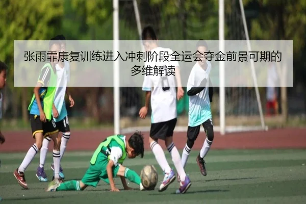 张雨霏康复训练进入冲刺阶段全运会夺金前景可期的多维解读 - MiLanSports