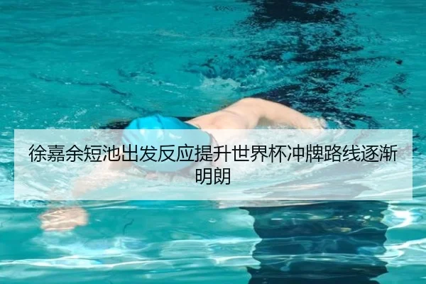 徐嘉余短池出发反应提升世界杯冲牌路线逐渐明朗 - MiLanSports